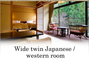 Wide twin Japanese / western room